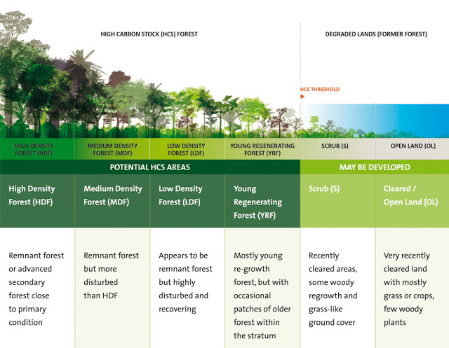 klasifikasi-hutan HCSA